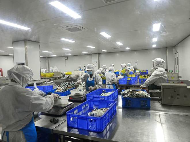 臨安區(qū)每果時光食品線上銷售火爆 互聯(lián)網(wǎng)賦能傳統(tǒng)食品行業(yè)煥發(fā)新生機(jī)