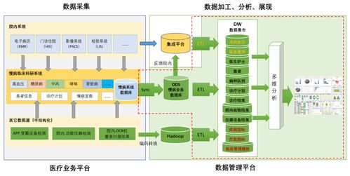 億信華辰 領航大數據分析，賦能企業數據治理與商業智能新紀元
